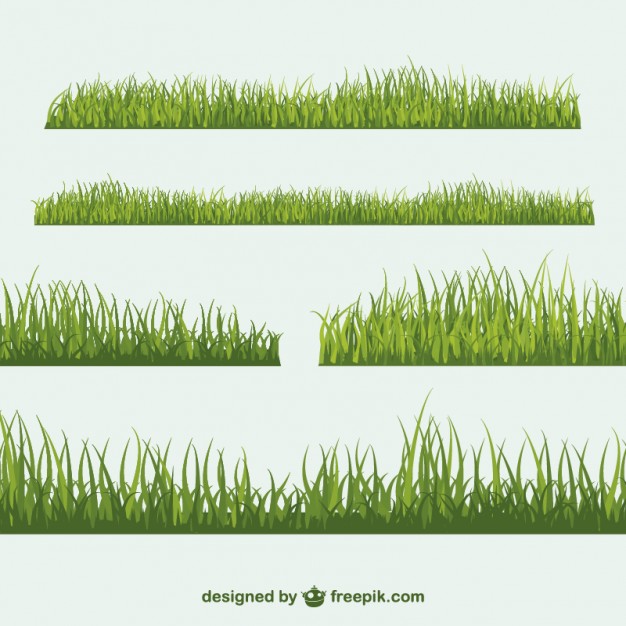 626x626 Vector Free Download Grass