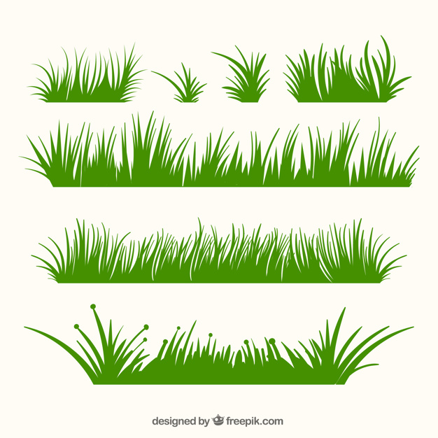 626x626 Ai] Variety Of Green Grass Borders In Flat Design Vector Free
