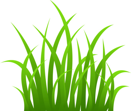 500x422 Blade Clipart Grass Vector