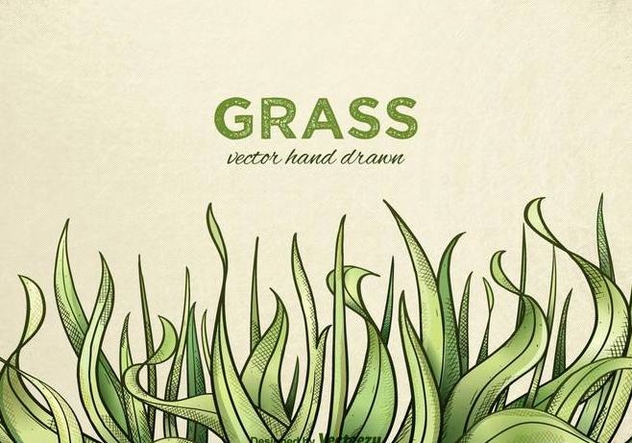 632x443 Free Hand Drawn Grass Vector Free Vector Download 330041 Cannypic