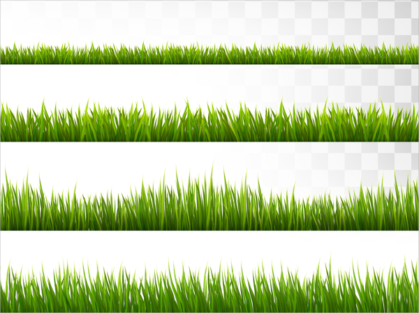600x449 Grass Vectors