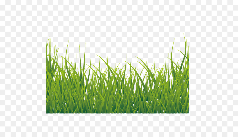 900x520 Euclidean Vector Icon