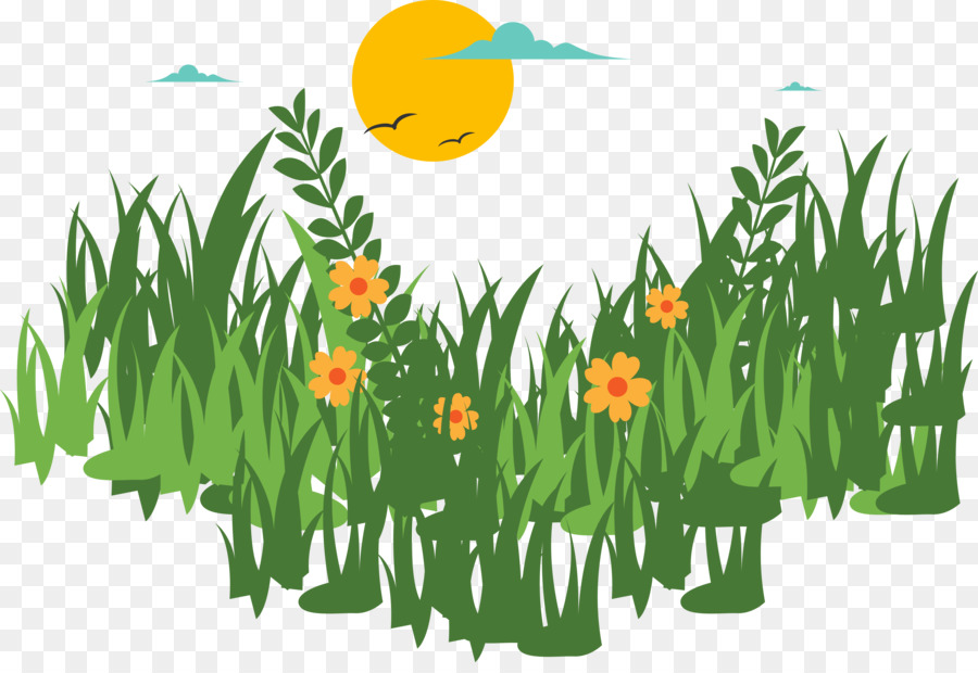 900x620 Green Euclidean Vector