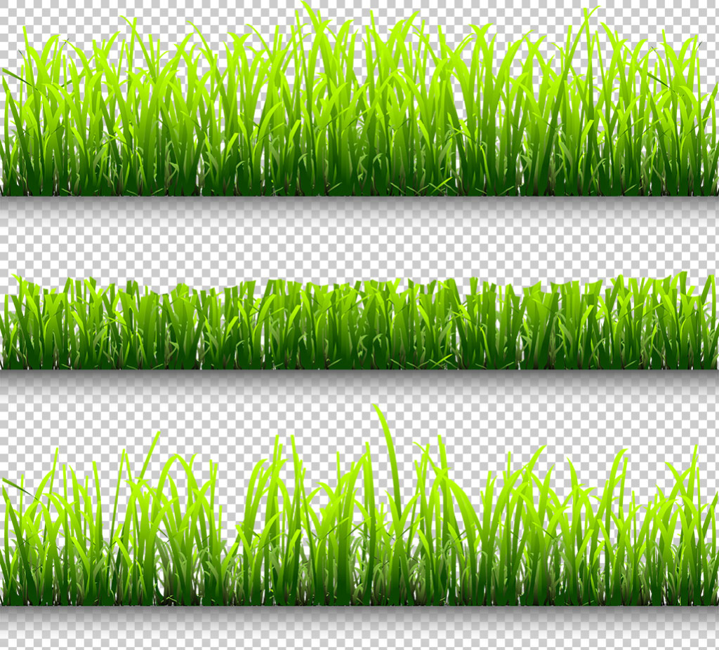 1024x927 Green Grass Pattern Free Png Transparent Layer Design Free