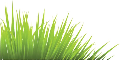 500x251 Green Grass Vector Templates