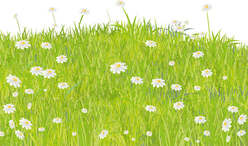 500x295 Vector Grass Transparent Background Free Vector Download (48,528