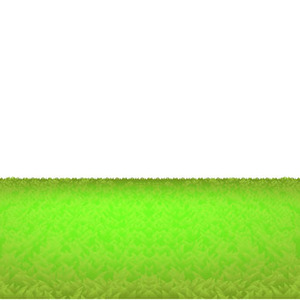 300x300 Grass
