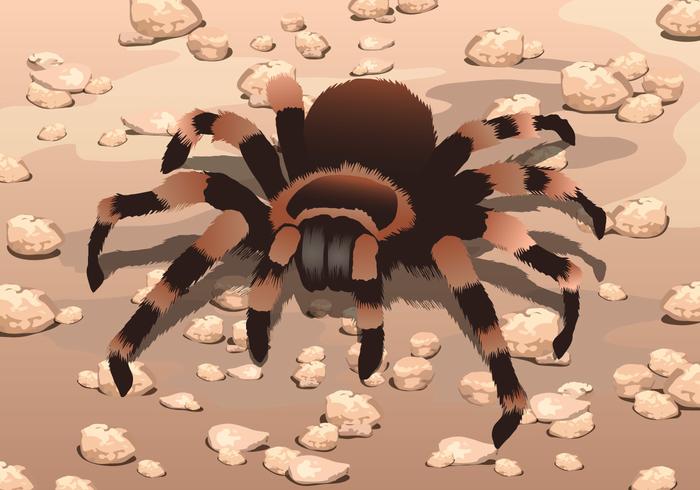 700x490 Gravel Free Vector Art