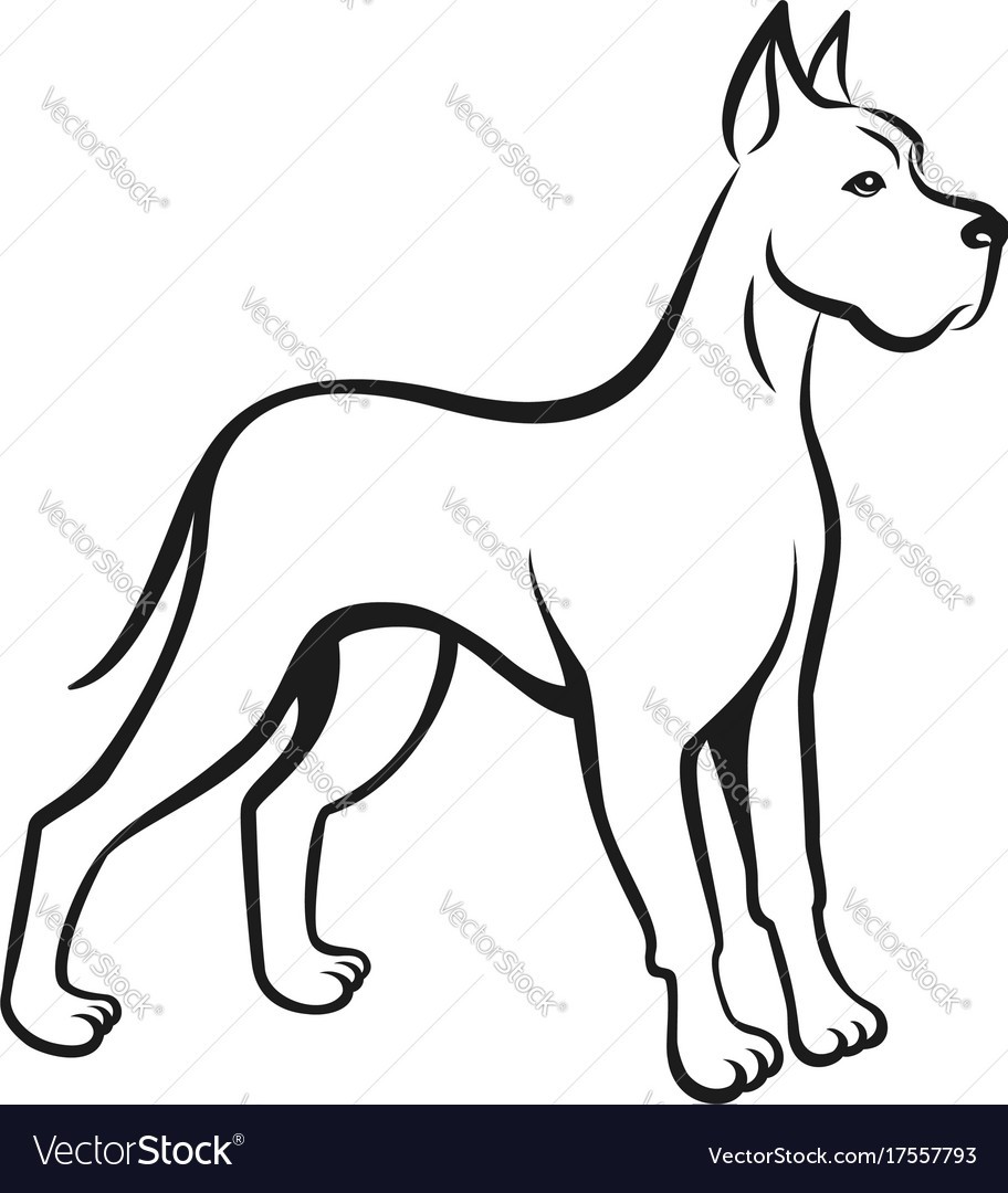 912x1080 Dog Line Drawing Great Dane Can Be Used As Logo Vector 17557793 4