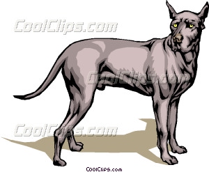 300x247 Great Dane Vector Clip Art