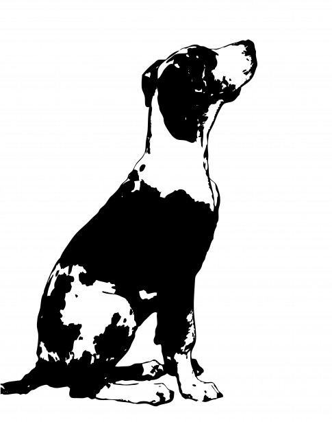 485x615 Dog Clipart Great Dane Free Stock Photo