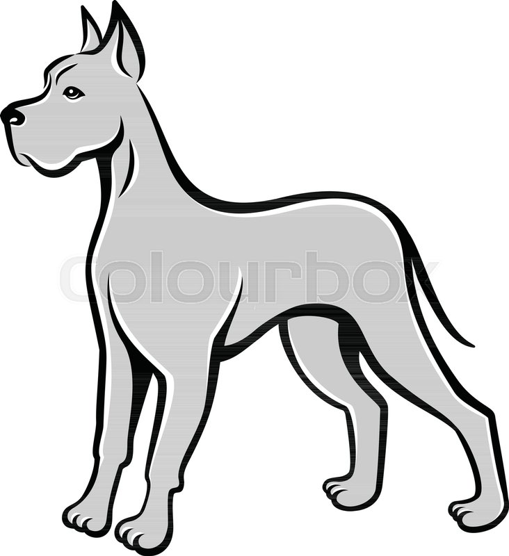 732x800 Dog Line Art Drawing Great Dane. Can Be Used As Pet Shop Logo Or