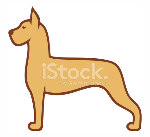482x439 Great Dane Dog Stock Vector