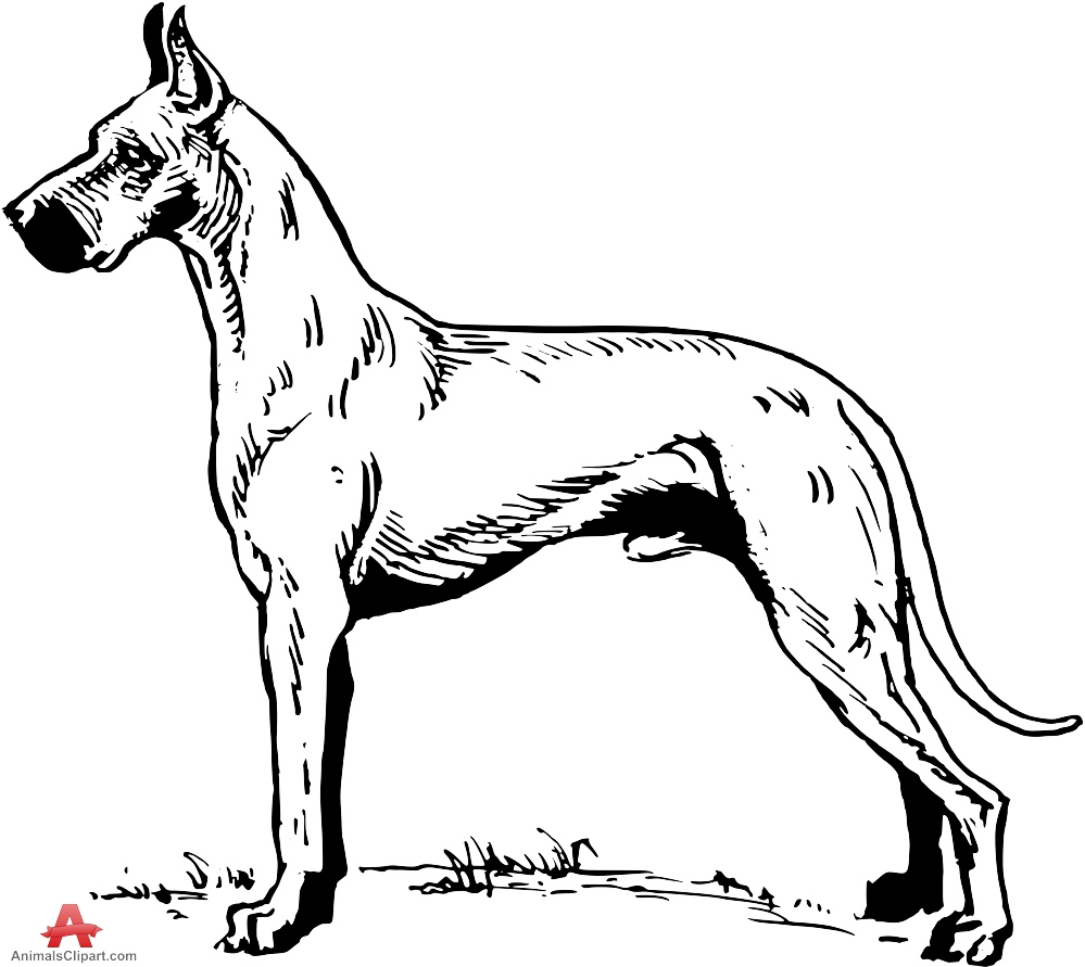 999x891 Great Dane Clipart