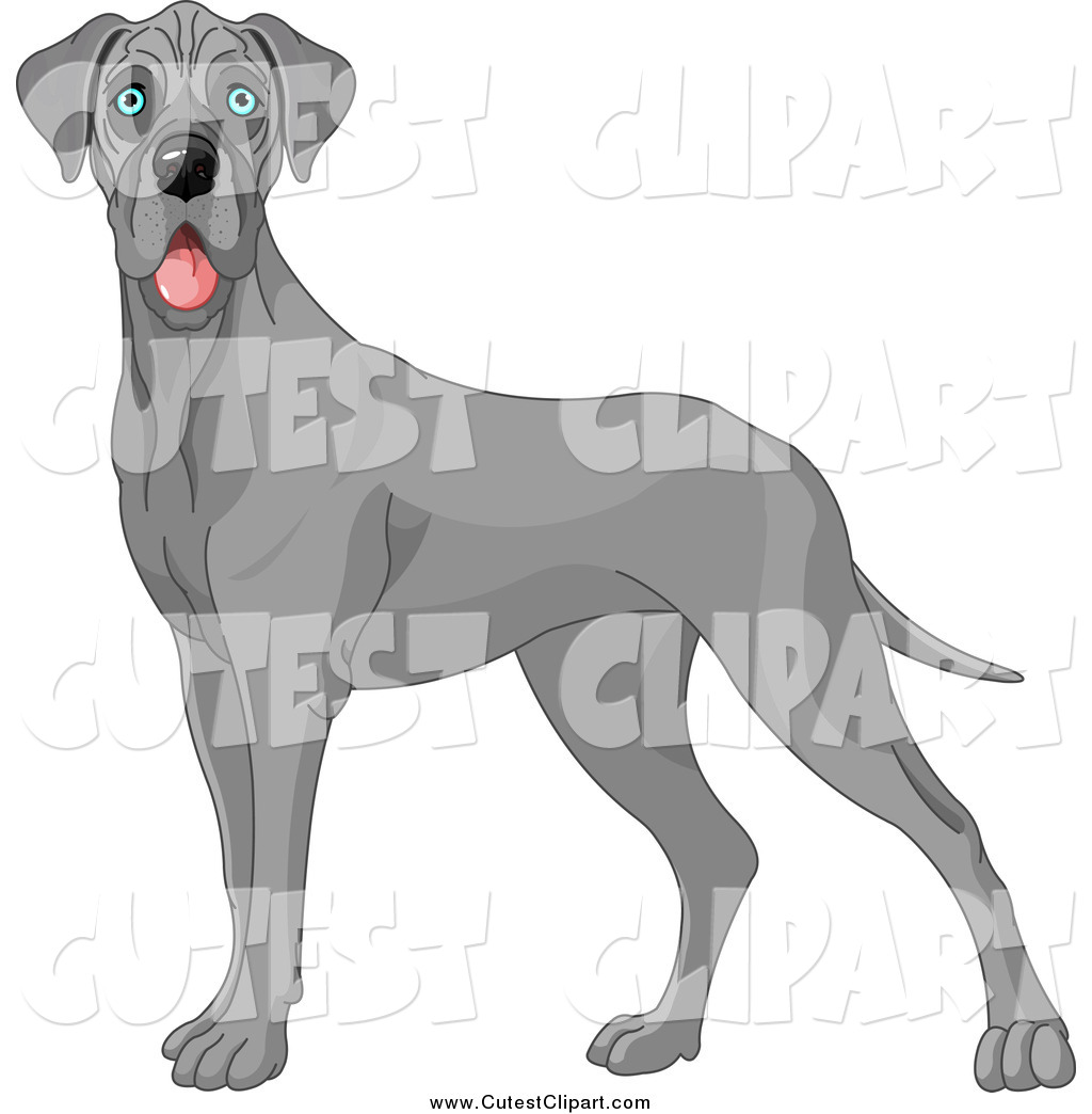 1024x1044 Vector Clip Art Of A Cute Blue Great Dane Dog With Blue Eyes By