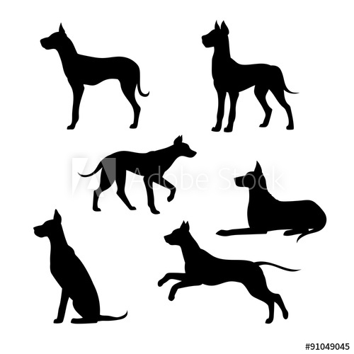 500x500 Breed Of A Dog Great Dane Vector Silhouettes.