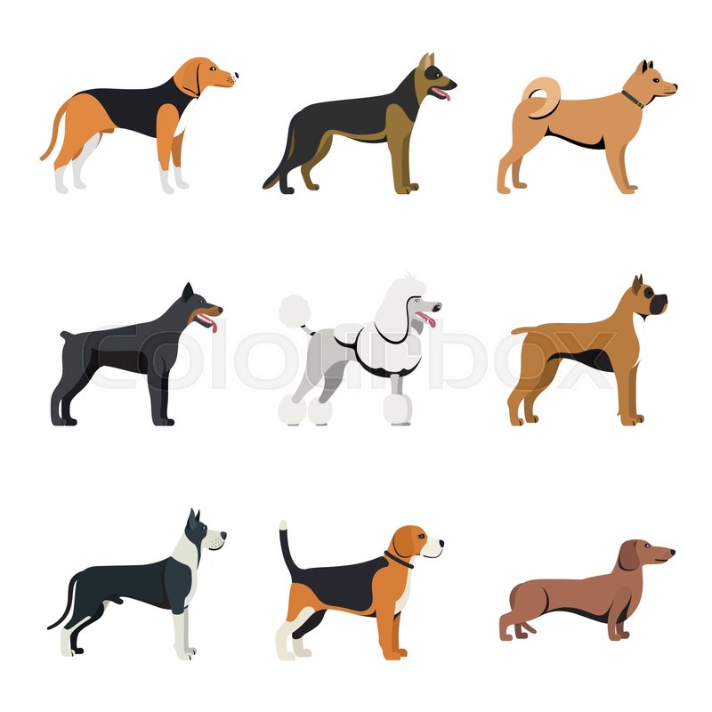 800x800 Different Type Of Dogs Breed Set With Beagle, German Shepherd