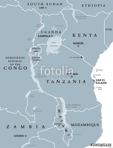 382x500 African Great Lakes. Political Map With Capitals And Borders. Lake