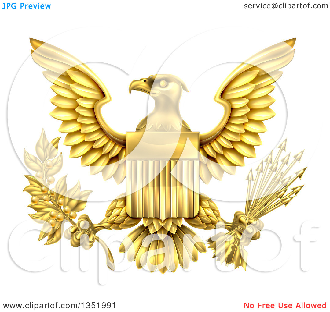1080x1024 United States Eagle Image Royalty Free Download
