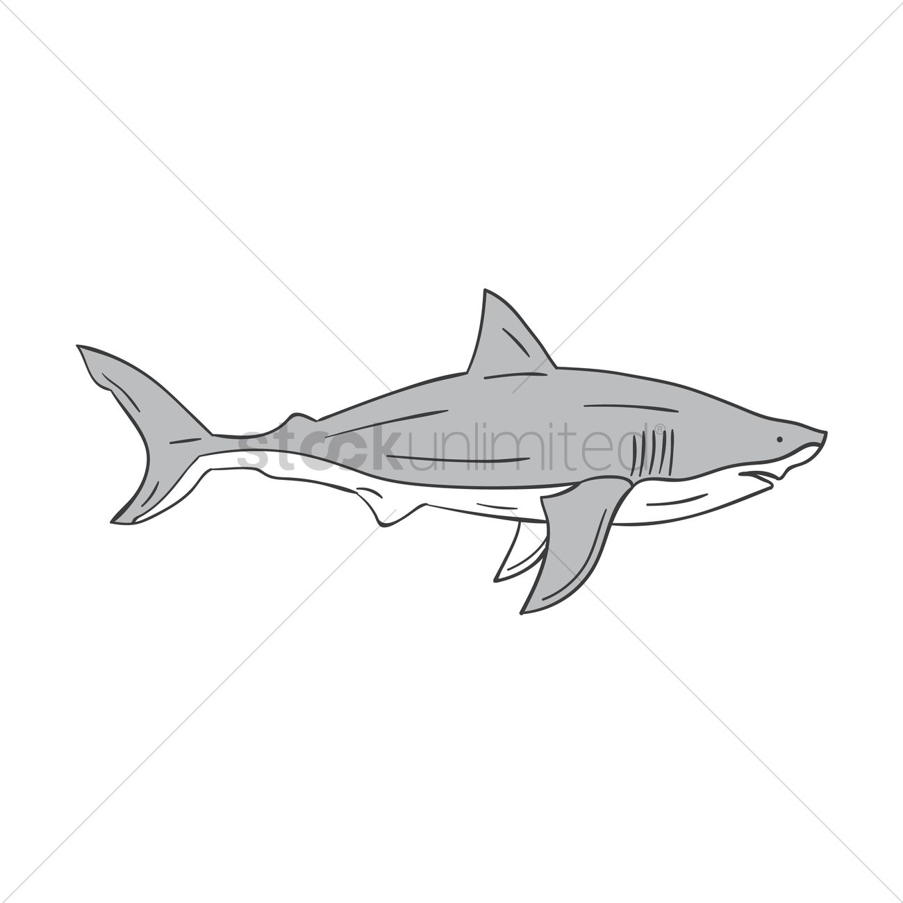 1300x1300 Great White Shark Vector Image