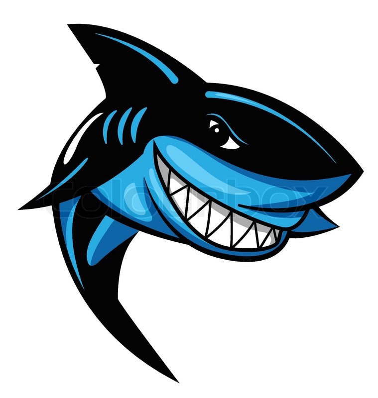 759x800 Shark Vector Download