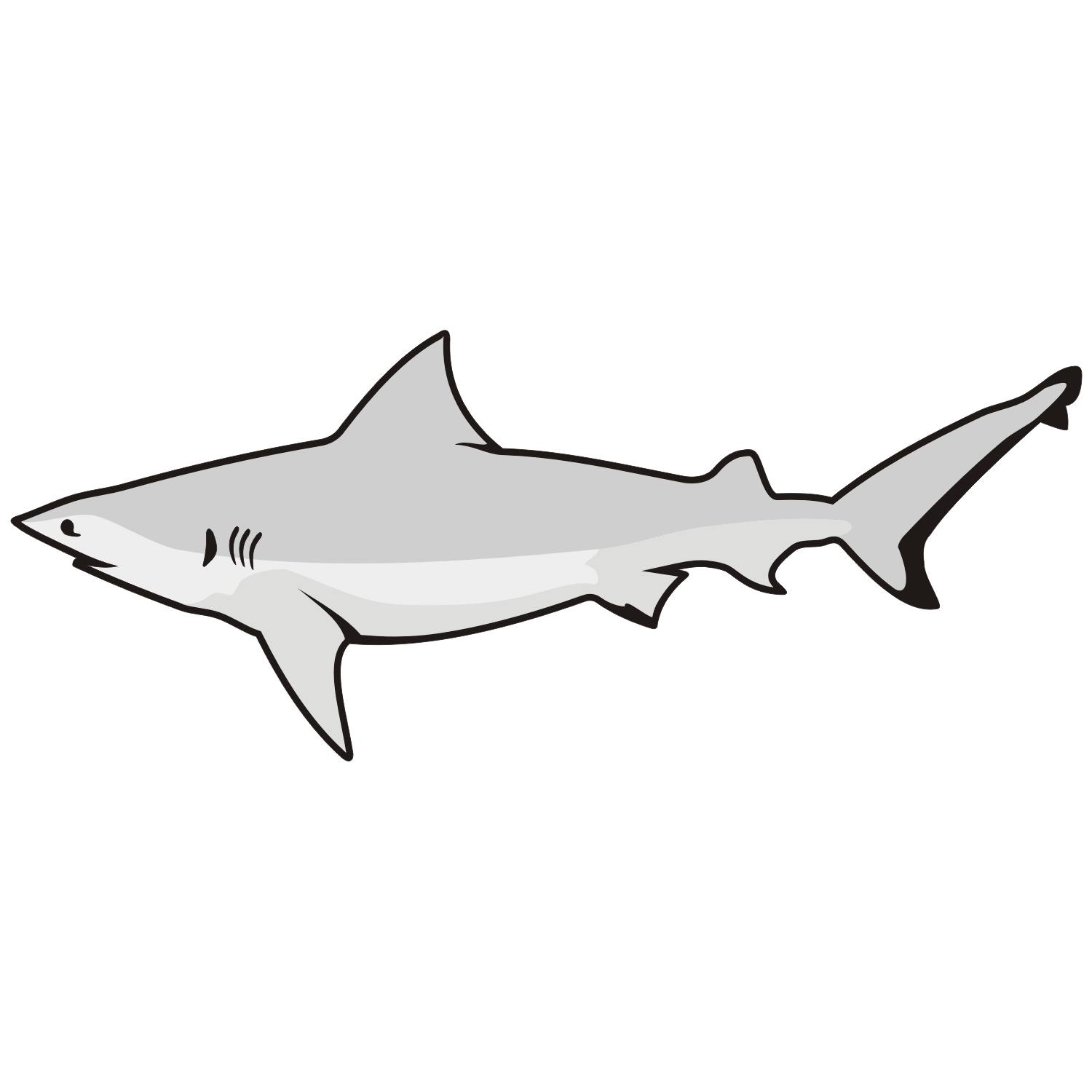 1500x1500 Vector For Free Use Great White Shark