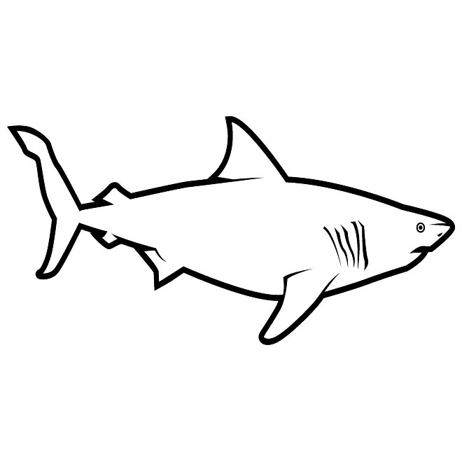 660x660 Great White Shark Free Vector