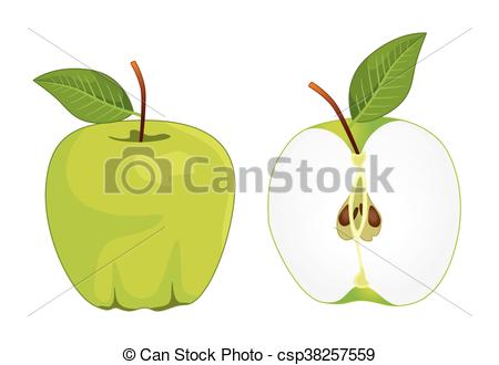 450x330 Green Apple Whole And Half Apple , Vector Set . Vector Illustration.