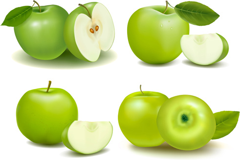 491x329 Green Apple With Slice Vectors Free Vector In Encapsulated