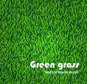 179x173 Free Grass Clipart And Vector Graphics