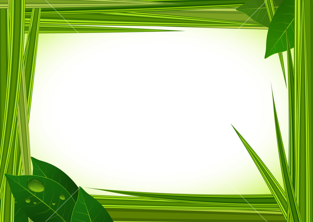1000x709 Fresh Green Grass Vector Frame With Clear Water Drops. Royalty