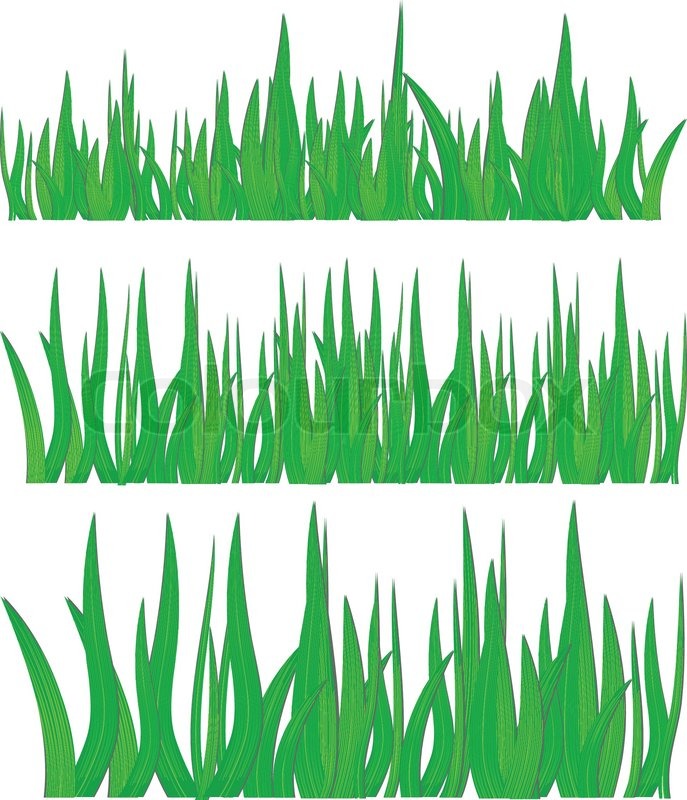 687x800 Green Grass, Vector Illustration Stock Vector Colourbox