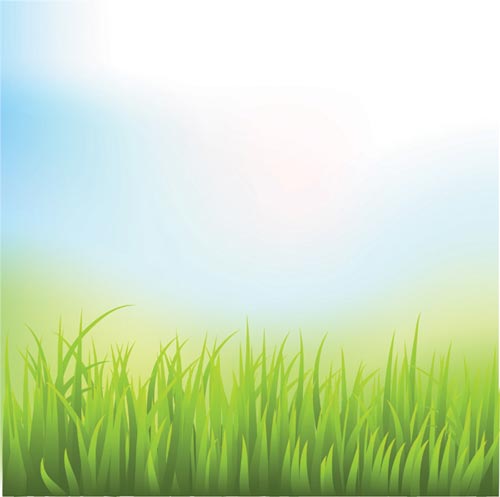 500x497 Green Grass Vector Templates