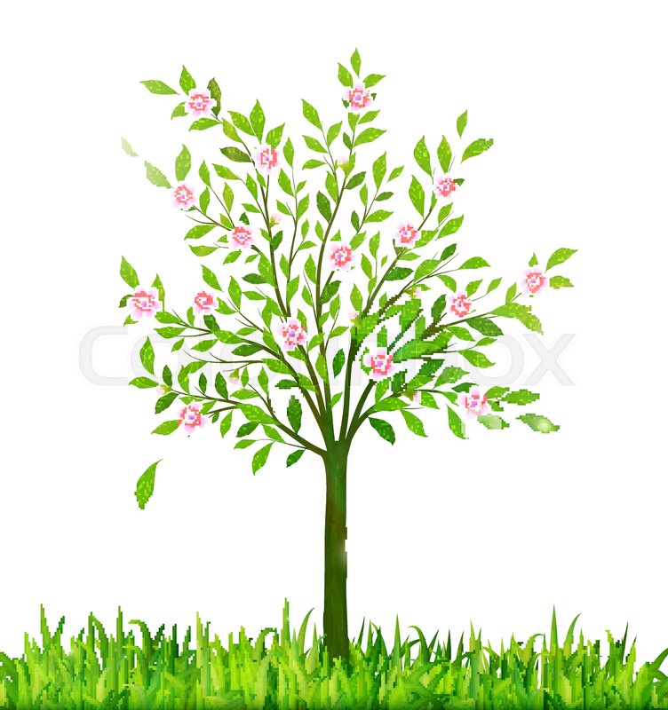 752x800 Spring Blossom Tree With Green Grass Vector Stock Vector Colourbox