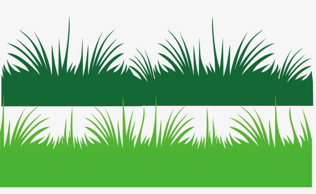 650x400 A Green Grass, Green Vector, Grass Vector, Vector Diagram Png And