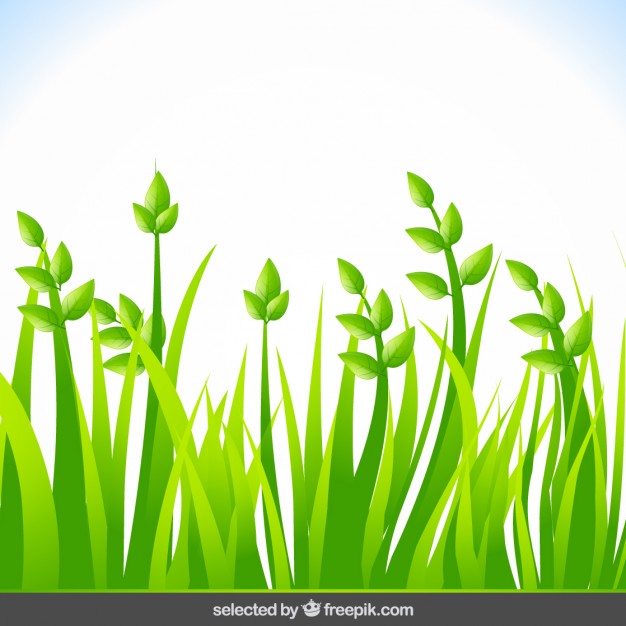 626x626 Background With Green Grass Vector Free Download