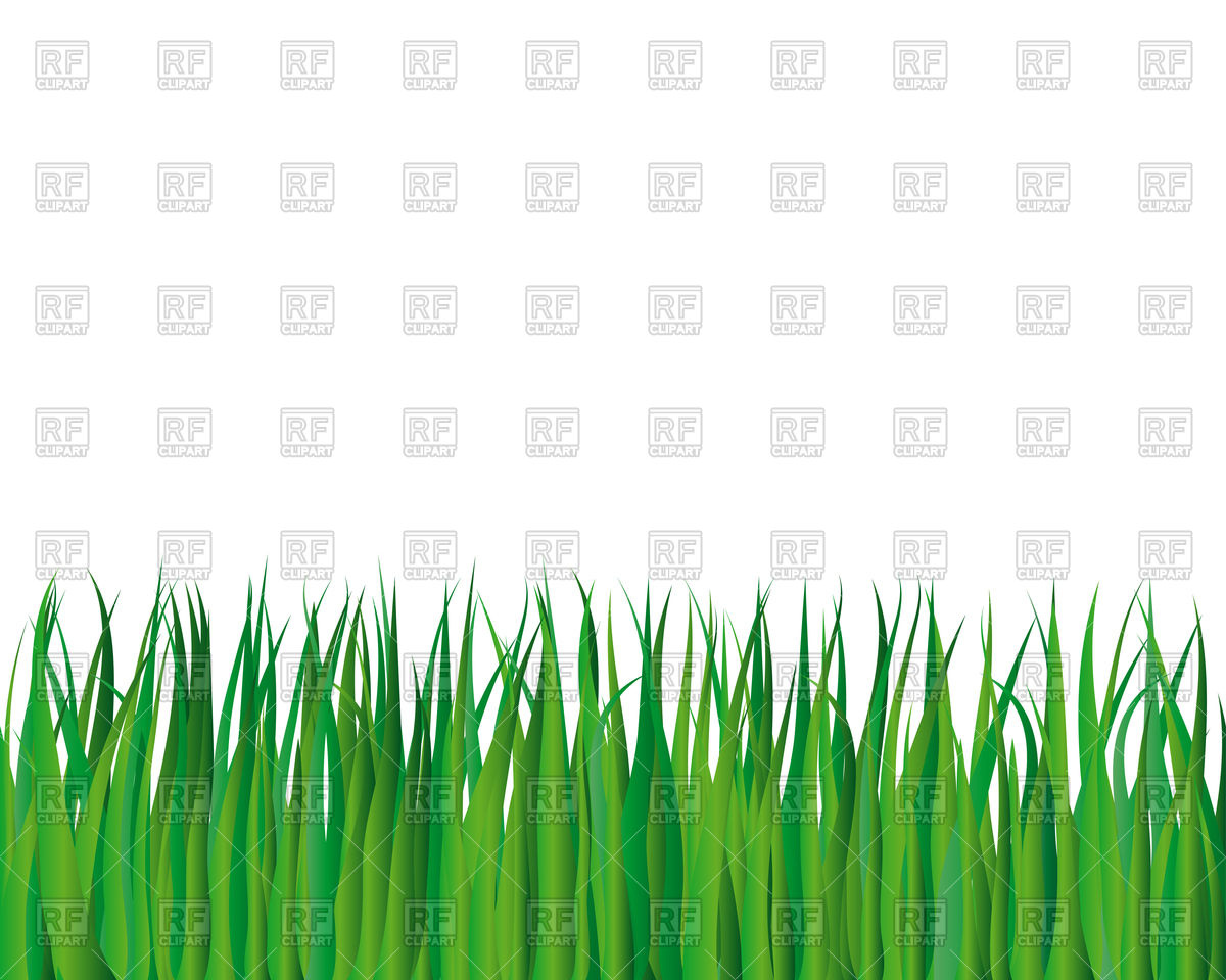 1200x960 Background With Green Grass Vector Image Vector Artwork Of