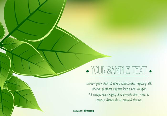 700x490 Green Leaf Background