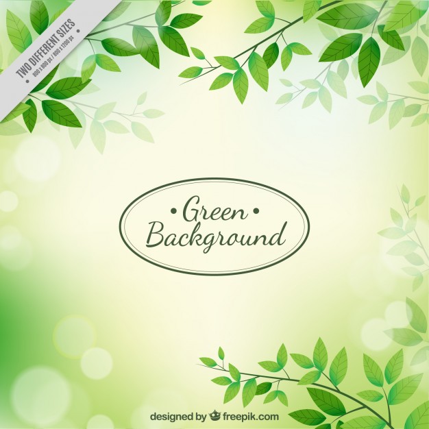 626x626 Green Leaves Vectors, Photos And Psd Files Free Download