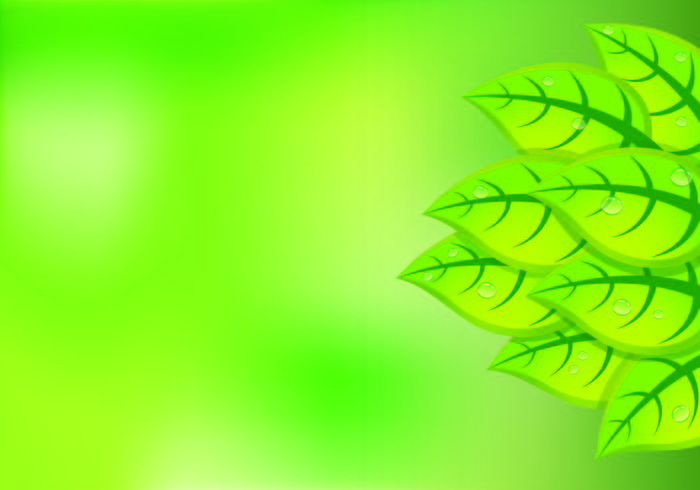 700x490 Background Of Natural Green Leaves