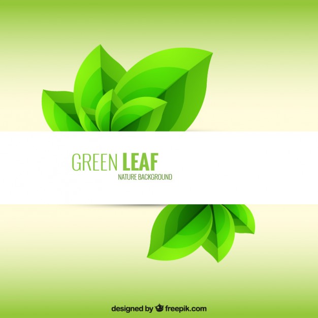 626x626 Green Leaf Background Vector Free Download