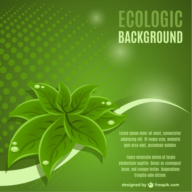 626x626 Green Leaf Background Vector Vector Free Download