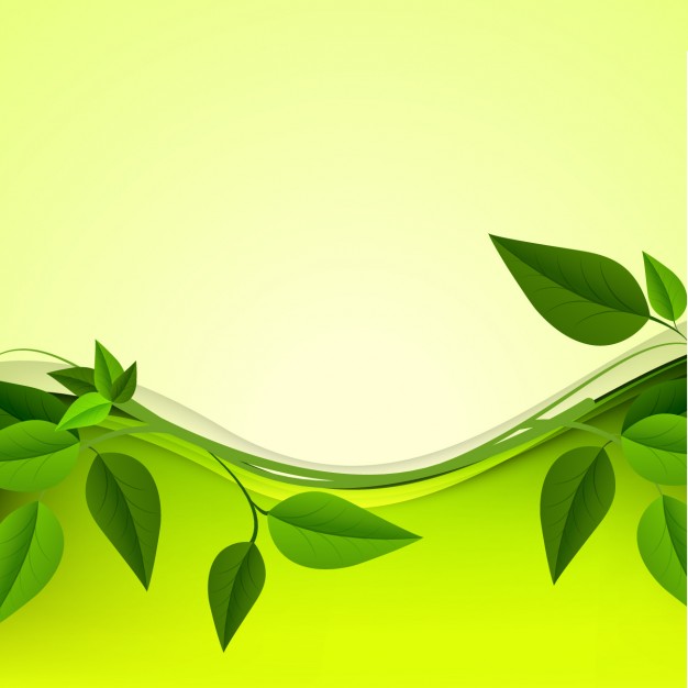 626x626 Green Leaves Background Vector Free Download
