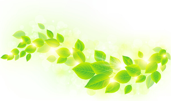 600x356 Green Leaves Background With Bokeh Vector Illustration Free Vector