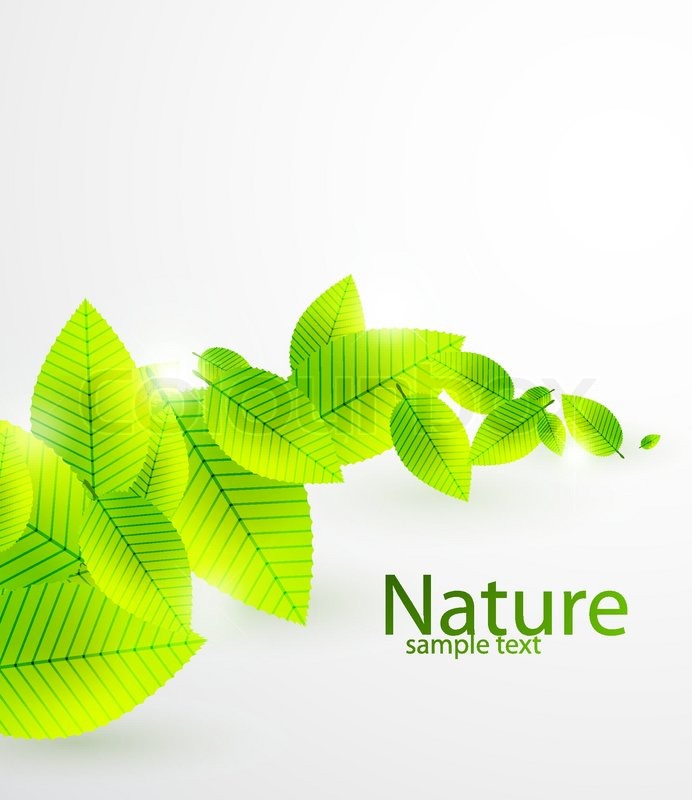 692x800 Nature Background With Green Leaves Stock Vector Colourbox