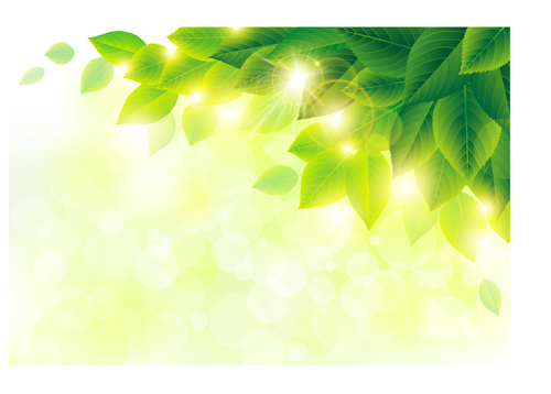 500x358 Spring Sunlight With Green Leaves Background Vector 01 Free Download