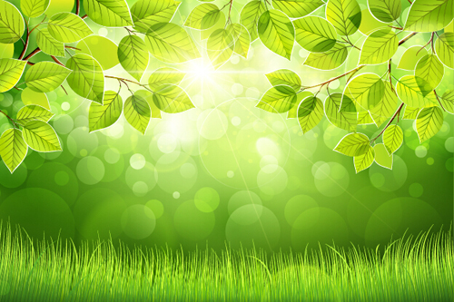 500x333 Spring Sunlight With Green Leaves Background Vector 02 Free Download