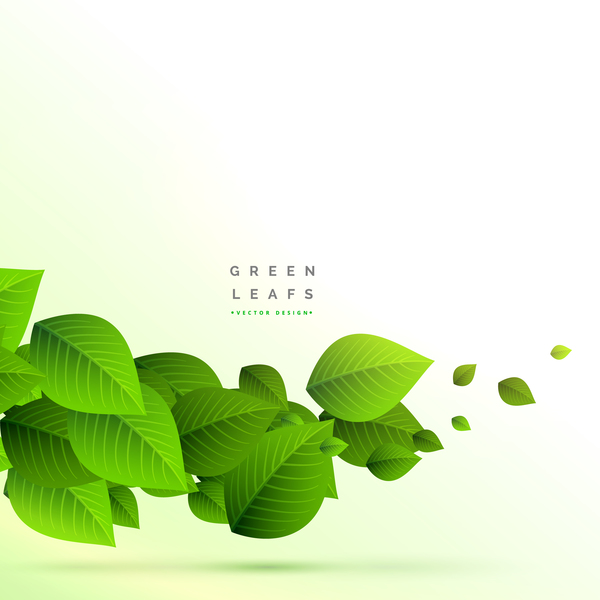 600x600 Vector Green Leaves Background Design 01 Free Download