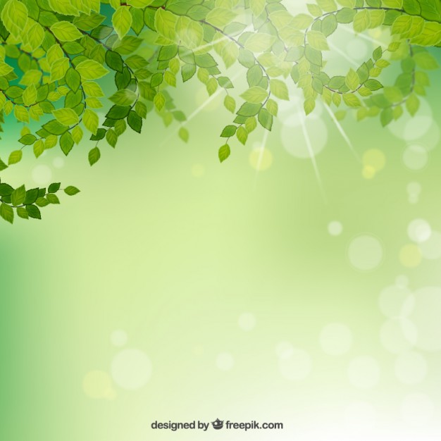 626x626 Branches With Green Leaves Background Vector Free Download