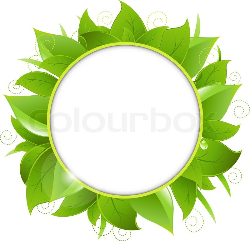 800x771 Frame From Green Leaves, Isolated On White Background, Vector